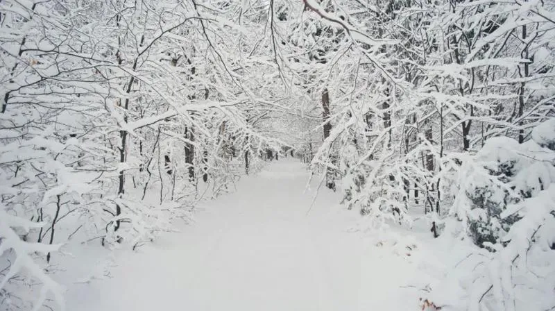 Skąd się bierze śnieg? Odkrywamy tajemnice z edukacyjnymi filmami dla dzieci