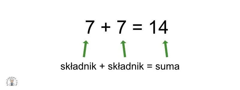 Suma w matematyce – co to jest? Prosta definicja i praktyczne przykłady