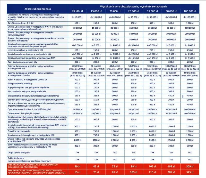 Ubezpieczenie szkolne a wakacje – co warto wiedzieć przed wyjazdem?