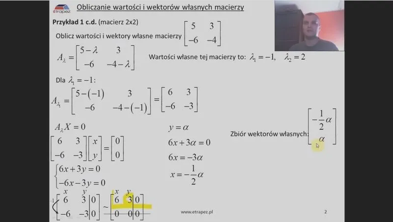 Wektory w matematyce – klucz do zrozumienia definicji i praktycznych zastosowań