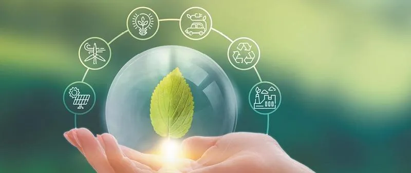 Interaktywne platformy filmowe do nauki ekologii