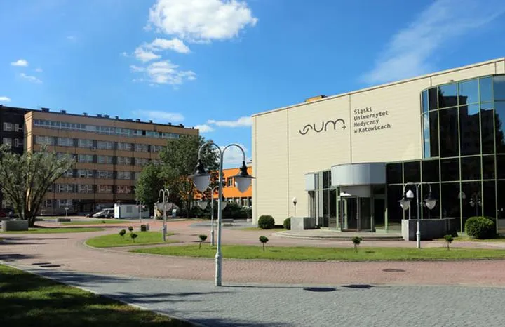 Programy nauczania i kierunki studiów UMC