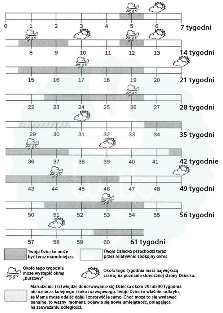 Wsparcie niemowlęcia i rutyna